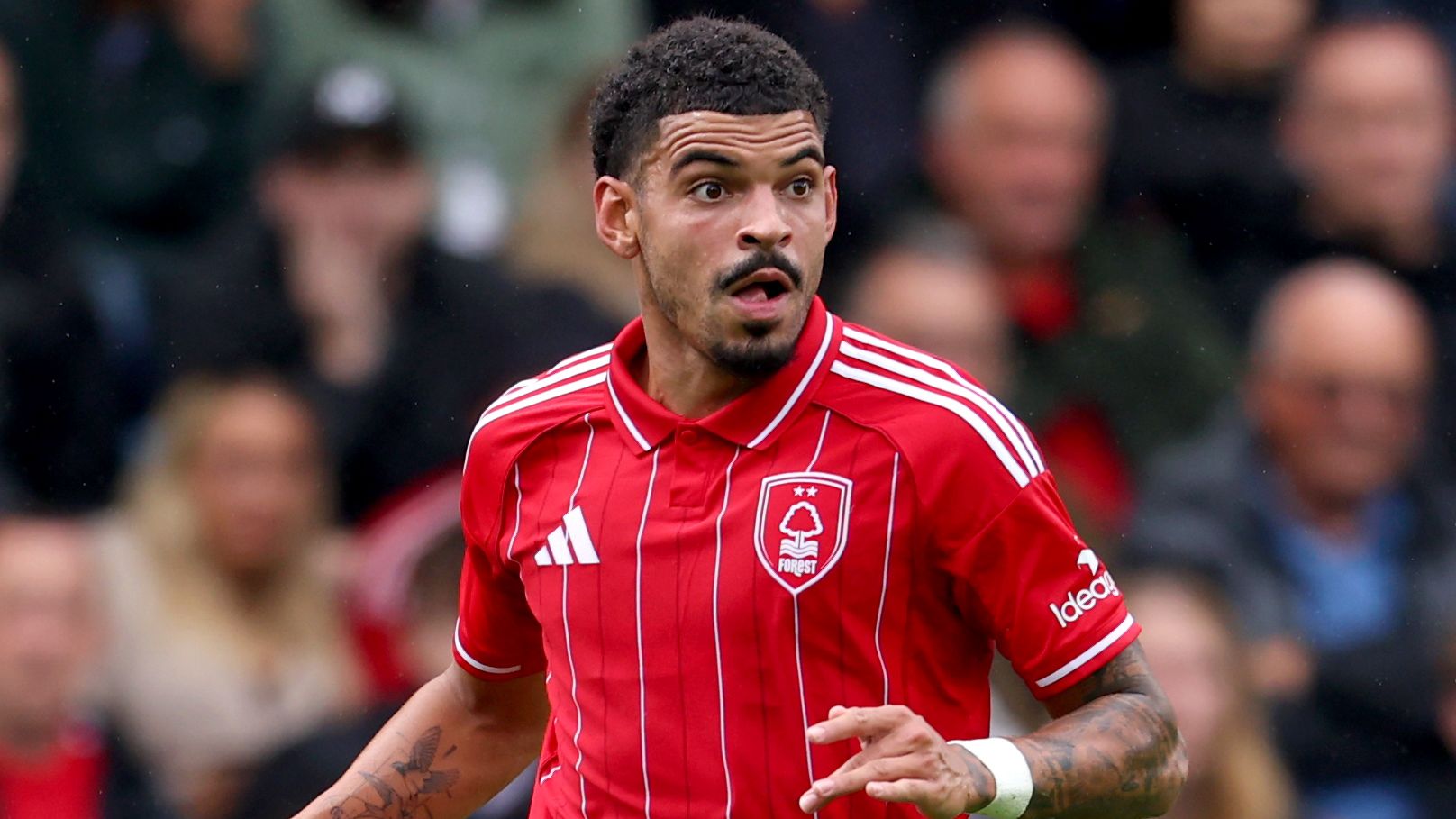 Newcastle to hijack Tottenham move?! Magpies eye bid for Evann Guessand after Spurs negotiations slow down amid Morgan Gibbs-White drama