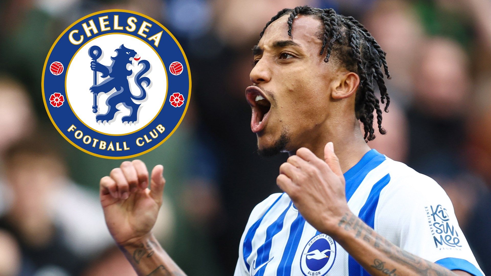 All completed Chelsea transfers so far in 2025-26