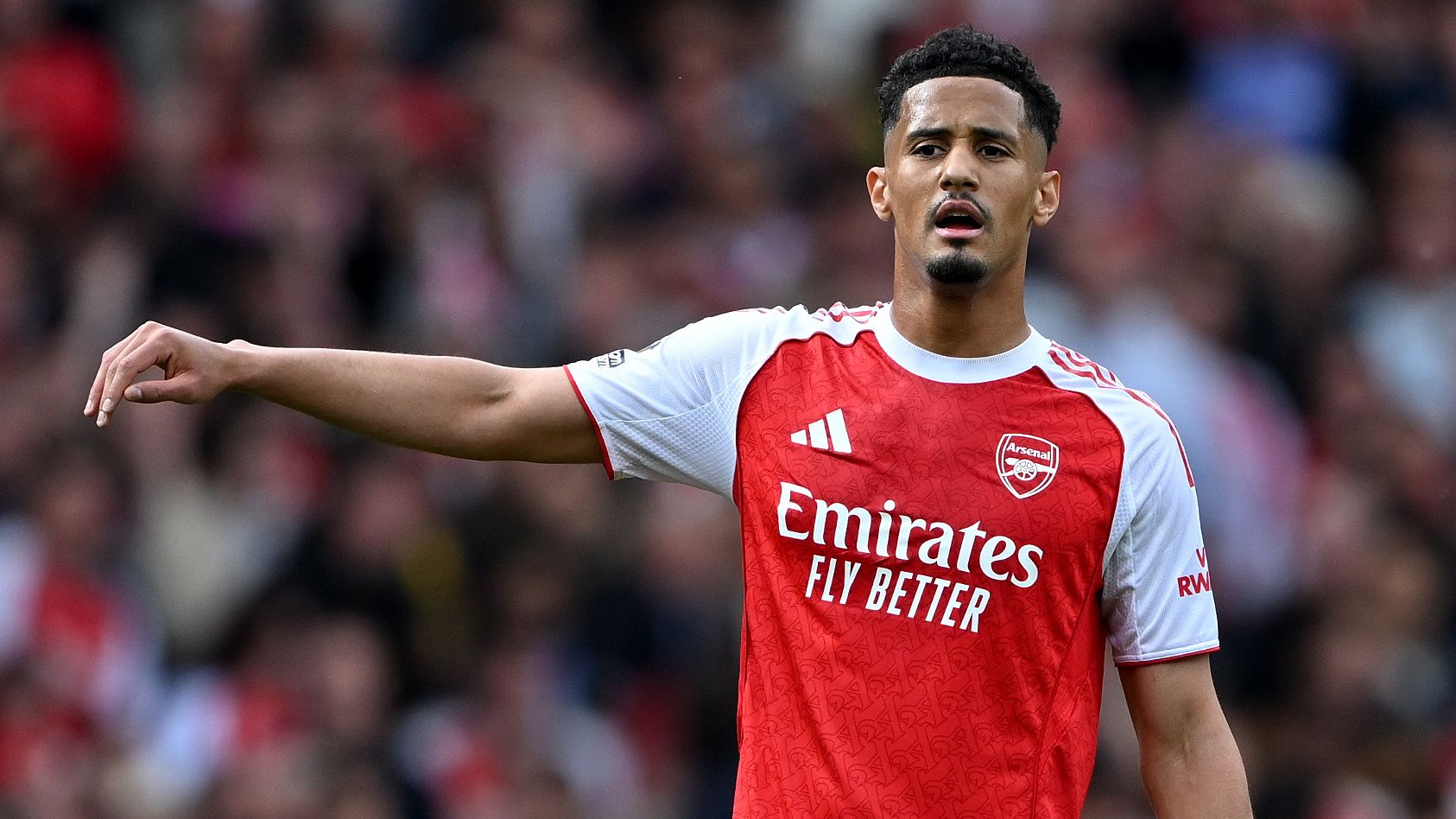 William Saliba backs 'scary' new Arsenal team-mate Viktor Gyokeres to fire Gunners to trophies