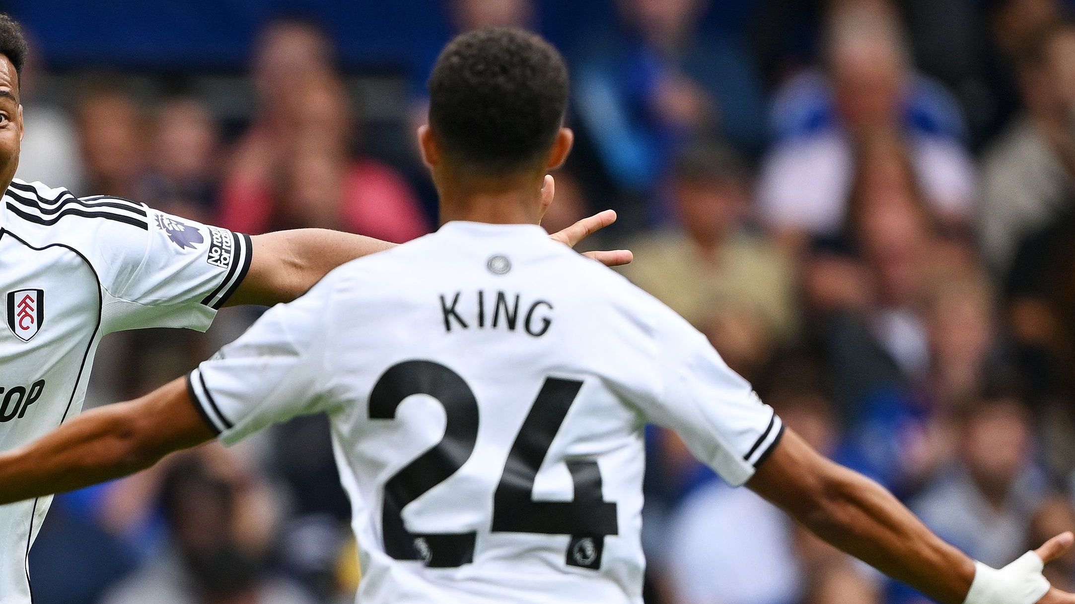 Fulham aim tongue-in-cheek dig at Premier League officials as 'cruelly' disallowed Josh King strike against Chelsea wins club's goal of the month award vote after VAR controversy