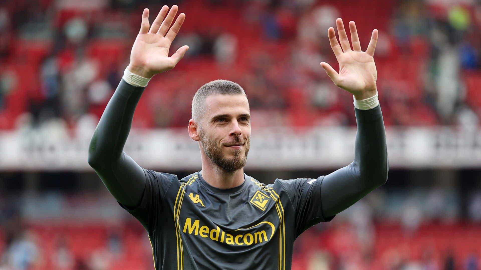 David de Gea's 'leadership and self-belief' a surprise to Pepe Reina as ex-Spain & Liverpool goalkeeper praises 'exceptional' Fiorentina shot stopper